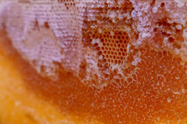 İçinde bir delik olan bir bal peteği gösterilir. Bal peteği portakallıdır ve çok bal içerir.