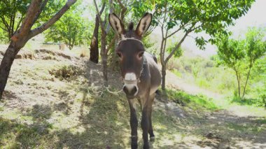 Yumuşak dalgalı deniz suyu.