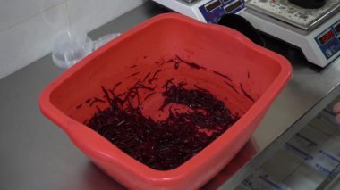 Yumuşak dalgalı deniz suyu.