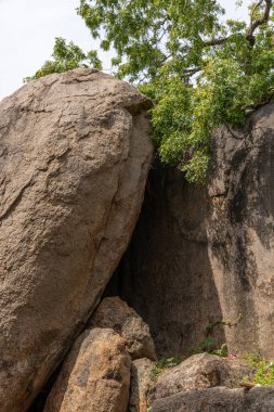Büyük bir kaya bir yamaçta bir ağacın yanında oturur. Kaya büyük ve pürüzlüdür ve ağaç küçük ve yeşildir. Huzurlu ve huzurlu bir manzara. Ağaç yaşam hissi veriyor.