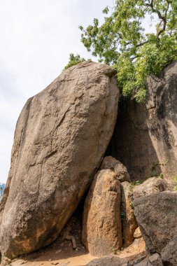 Üzerinde bir ağaç büyüyen büyük bir kaya oluşumu. Taş kahverengidir ve ağaç yeşildir.
