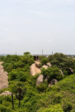 Birkaç ağacı ve ortasında küçük bir bina olan yemyeşil bir orman. Gökyüzü açık ve güneş parlıyor.