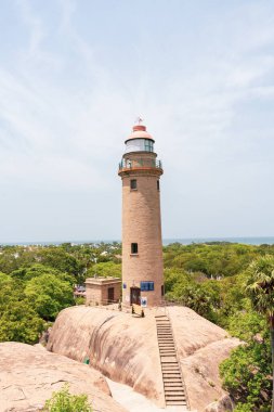 Okyanusa bakan kayalık bir tepede uzun bir deniz feneri var. Deniz feneri ağaçlarla çevrili ve üzerinde mavi bir işaret var. Sahne huzurlu ve sakin, deniz feneri dimdik ayakta.