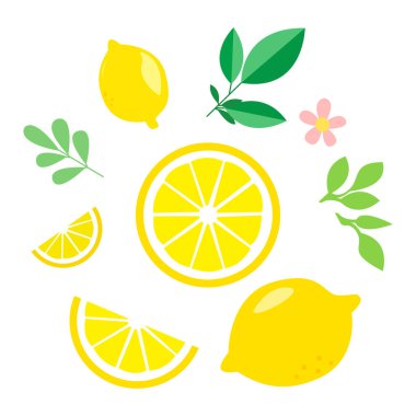 Beyaz arka planda yaprakları olan limonlar. Vektör illüstrasyonu.