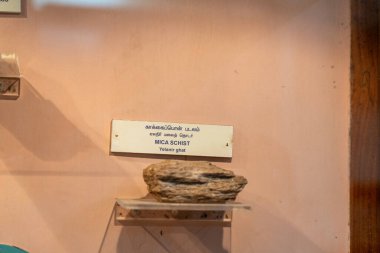 Chennai, Tamil Nadu, Hindistan - 02.07.2025: Rafta üzerinde 