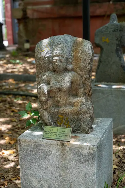 Chennai, Tamil Nadu, Hindistan - 02.07.2025: Heykel üzerinde oturan bir kadın heykeli. Kalıbın üzerinde 54 numaralı bir plaket var. Chennai 'de.