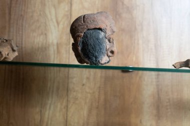 Chennai, Tamil Nadu, Hindistan - 02.07.2025: Siyah başlı küçük kahverengi bir cisim ahşap bir yüzeye oturur. Nesne cam bir rafta. Chennai 'de.