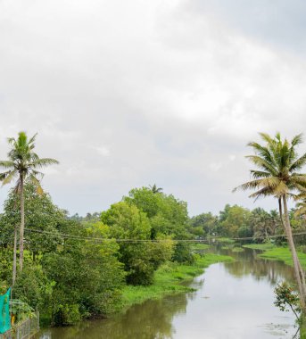 Her iki tarafında palmiye ağaçları olan bir nehir. Ağaçlar yeşil ve su sakin. Gökyüzü bulutlu ve görüntünün genel havası huzurlu.