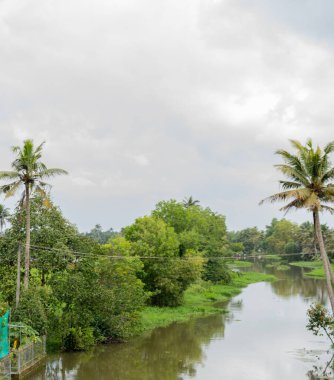 Her iki tarafında palmiye ağaçları olan bir nehir. Su sakin ve gökyüzü bulutlu. Huzurlu ve huzurlu bir sahne.