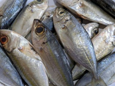 Mutfaktaki balıkları kapat.