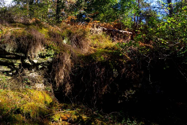 Fontainebleau Tijdens Herfst Kan Een Schuilplaats Voor — Stockfoto