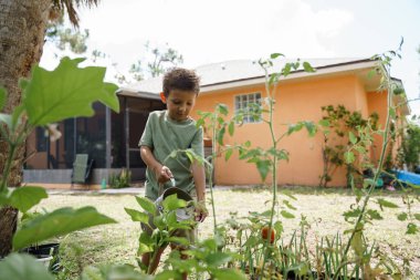 Bir çocuk bahçedeki bitkilerle ilgilenir. 