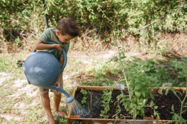 Bir çocuk bahçedeki bitkilerle ilgilenir. 