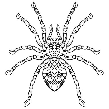 Zentangle tarzında çizilmiş bir örümcek.