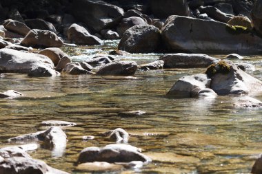 Water and rocks in a river