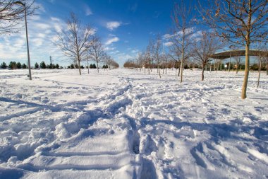 snowy landscape in winter with trees and blue sky