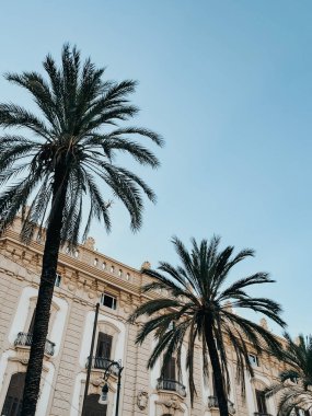 Bu fotoğraflarla Sicilya 'nın güzelliğini keşfedin, Catania' nın canlı caddeleri, Palermo 'nun tarihi yerleri ve Taormina' nın çarpıcı manzaraları. Bu enstantane resimleri bu İtalyan adasının farklı ve büyüleyici özünü yakalar..