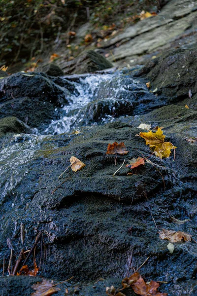 Close Rock Waterfall Woods — Stock Photo, Image