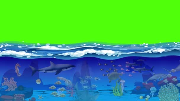 Onderwaterachtergrond Met Vis — Stockvideo