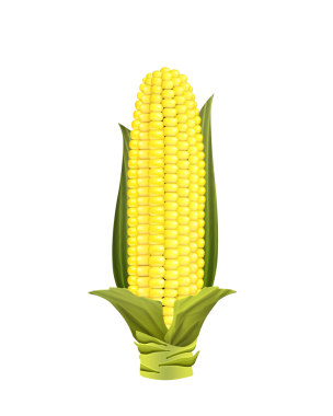 Üzerinde bir Mısır