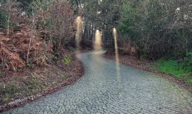 Sonbahar Ormanı Taş Yolu