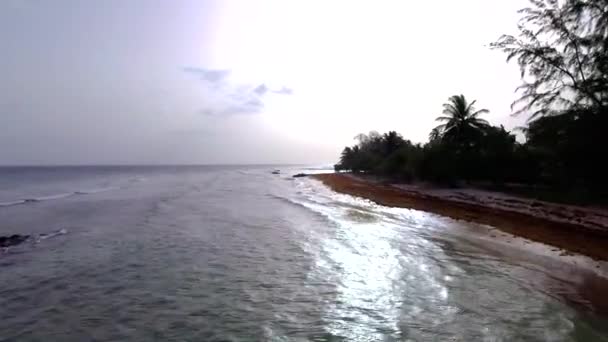 바다에서 사람들 해변을 내려간다 — 비디오