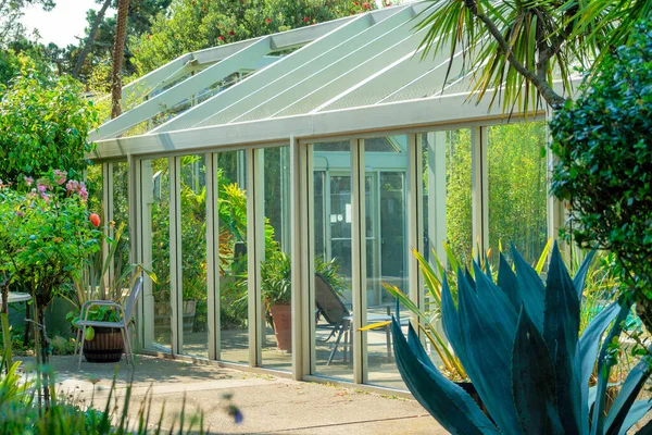 Sunlit greenhouse in backyard garden with trees and foliage. Double gable glass greenhouse with door and sitting area with shaded plants in foreground in suburban area.