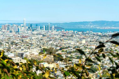San Francisco şehir merkezinin gökdelenlerle ve modern binalarla çevrili havadan çekilmiş görüntüleri. Gün ortası ya da öğleden sonra, parlak güneşli yapıları ve dağlarla kaplı yeşil yapraklı önü ve gradyatlı mavi okyanus arka planıyla şehir manzarası.