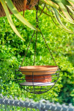 Çamur, kancasında siyah metal tutacağı, yeşil yaprakları ve çalıları olan bir saksı asıyor. Ön bahçede, ön planda tel örgüler ve çatı arkaplanı var..