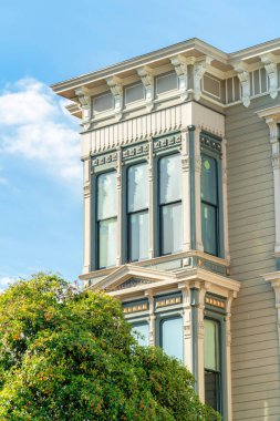 Ön bahçe ağacı, yeşillik ve mavi bulutlu gökyüzü arkaplanlı, öğleden sonra güneşli evin ön cephesinin detaylı görüntüleri. Öğlen güneşinde mahallede ya da banliyöde ya da şehirde.