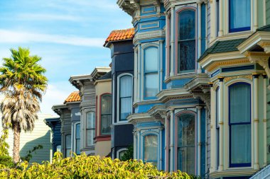 Ön bahçesinde palmiye ağaçları ve öğleden sonra gölgesinde çalılar olan renkli modern ev cepheleri ve biraz güneş. San Francisco şehir merkezinde, Kaliforniya 'da, şehirde ya da metropolde..