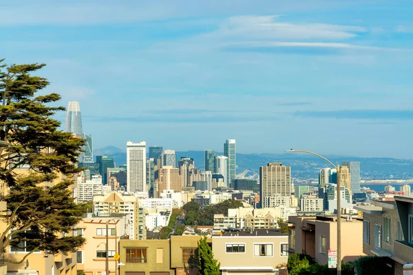 Downtown city of San Francisco California with rows of modern houses and buildings with mountains and blue sky background. In midday sun in urban area with flowering trees and bright cityscape.