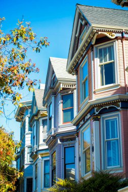 Renkli ve dekoratif apartmanlar ya da gable tarzı çatıları ve San Francisco California 'da süslü pencereleri olan şehir evleri. Ön bahçesinde ağaçlar ve açık mavi gökyüzü olan bir mahallede..