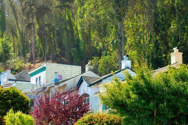 San Francisco 'nun tarihi bölgelerindeki renkli evler. Ön bahçe ağaçları ve ormanın arka planında öğleden sonra güneşiyle birlikte. Mahalledeki ya da şehir merkezindeki evler.