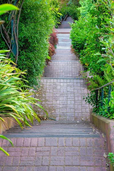 stock image Long row of stairs with visible foliage and plants lining the side of entrance with red bricks down a suburban alley way of the city. Late in the day with shade and no sun in a recreation park or path.