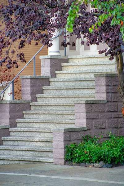 Fila Escaleras Acceso Patio Delantero Con Árboles Arbustos Con Cemento —  Fotos de Stock