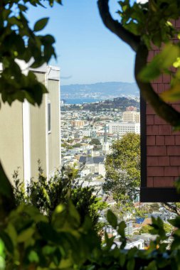 San Francisco California 'nın tarihi şehir merkezleri tepelerdeki evler ve evler arasında. Ön bahçedeki ağaçlar gölgede güneşli binalar ve gökdelenlerle çevrili..
