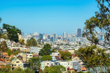 San Francisco California 'nın tarihi bölgelerinde, ön planda ağaçlar, gökdelenler ve binalar olan gizli bir gözetleme noktası. Mahalleler, evler ve dağlarla görülebilen evler.