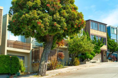 Gündüz vakti modern yüz hatları ve ağaç önplanı olan modern evler. San Francisco California 'da evleri olan şehir veya banliyö mahallelerinde mavi ve bulutlu gökyüzü arka planına sahip bahçeler ve bitkiler..