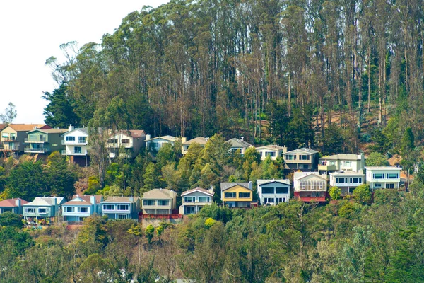 geometric row of houses on hill in sun with wilderness and hillside foliage and brush with tree lined background and blue sky late afternoon or early evening