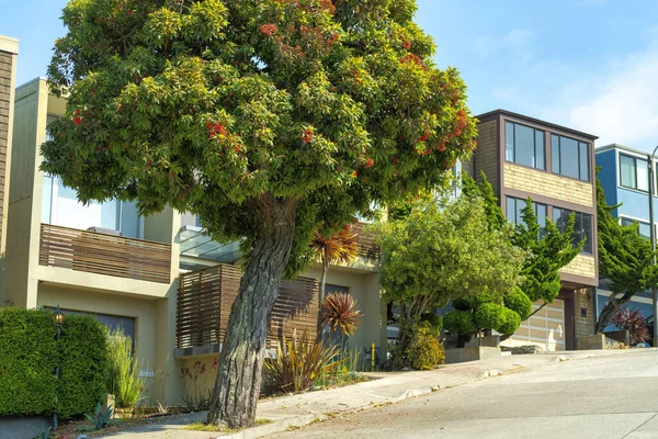 stock image Row of modern houses in sun midday with modern features and tree foreground. Front yard foliage and plants with blue and cloudy sky background in city or suburban neighborhood with homes in San Francisco California.