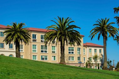 Uzakta inşa edilecek sıra dekoratif palmiye ağacı ön planda ve öğleden sonra yükselen yeşil tepeli mavi gökyüzü ile birlikte. San Francisco şehir merkezinde bir dizi apartman dairesi olan şehirde..