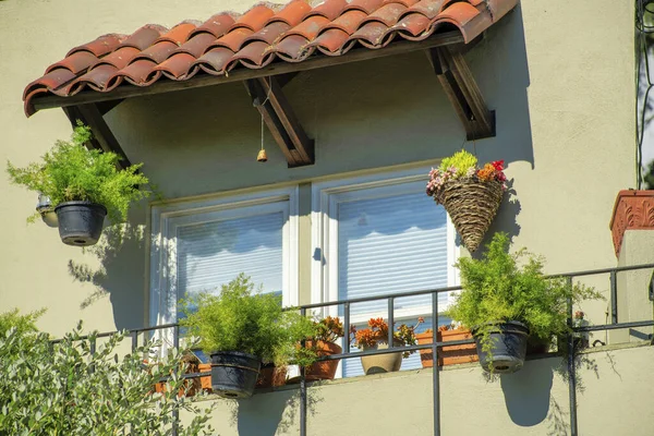 Lone window with adobe red roof tiles on awning with potted plants and decorative balcony on the exterior of house facade in sun. Late afternoon with stucco beige color on the house or home in city.