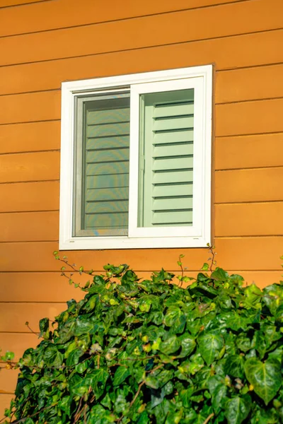 Horizontally Slatted Wooden Building Front Yard Bush White Window Accent — Stock Photo, Image