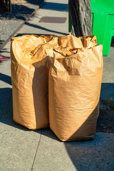 Bag of leaves in paper sacks on the sidewalk in an urban area of the downtown city in california with trash can and tree background. In late afternoon sun and shade in the town for recycling garbage.