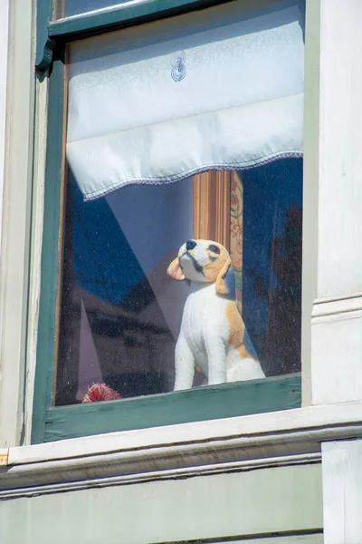 House window with decorative stuffed dog toy on windowsil or mantle place with white coloration and curtains with house foreground. In late afternoon shade on a home in the neighborhood.
