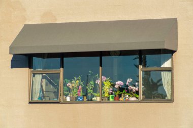 Brown awning with window and visible objects on mantle or kitchen with plants and potted decorations in house or home. In late afternoon sun in residential area of in home.
