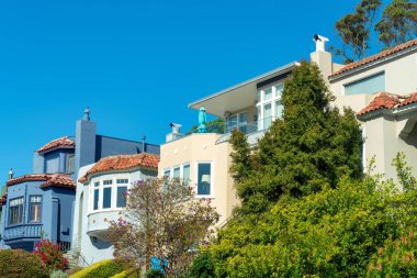 Row of houses in the historic districts in downtown san francisco california neighborhoods in city. Clear blue sky with forest trees in front and back yards in middle class american dream suburbs.