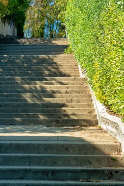 Tall set of sprawling stairs with green bushes and white railing in afternoon sun in park or recreation area. A path to walk to the top of a hill in an suburban area near for runners or joggers.