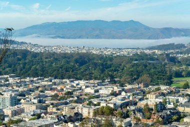 Expansive cityscape with forest background and haze or fog in the distance with moutains and blue sky in urban area. Houses and buildings in the historic districts of san francisco california.